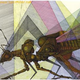 Illustration for article titled Ian Millers Geometrically-Exact Surrealism